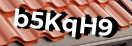 Введите код с картинки