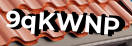 Введите код с картинки