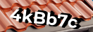 Введите код с картинки