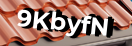 Введите код с картинки