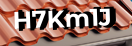 Введите код с картинки