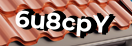 Введите код с картинки