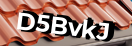 Введите код с картинки