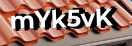 Введите код с картинки