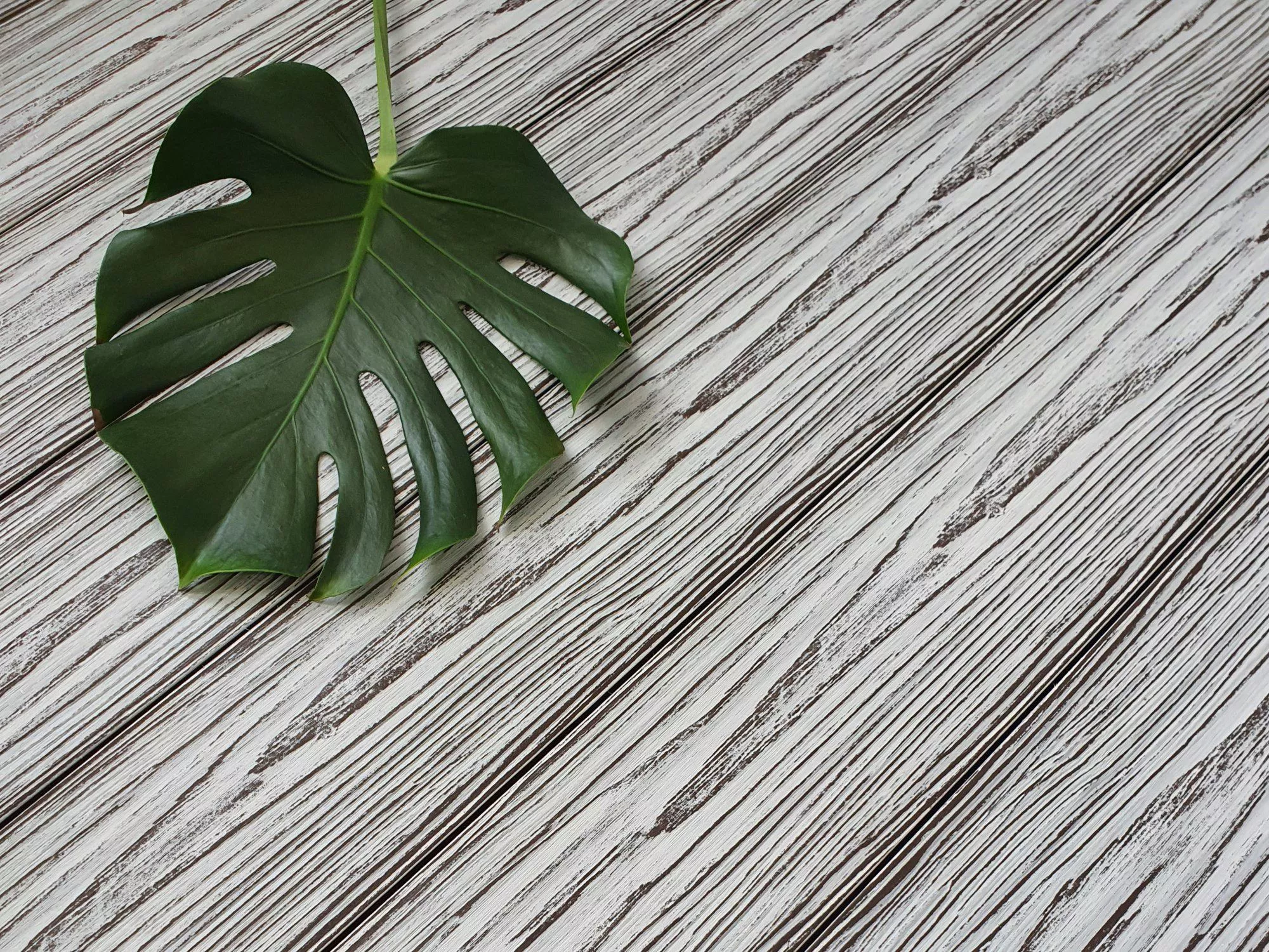 Доска террасная ТЕРРАпол АНТИК Мультиколор Троя 147х23х4000мм купить в екатеринбурге