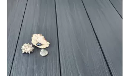 Доска террасная ТЕРРАпол ПРАКТИК Мультиколор Черная жемчужина 147х23х4000мм. Цена: 1004 руб. Артикул: 48769