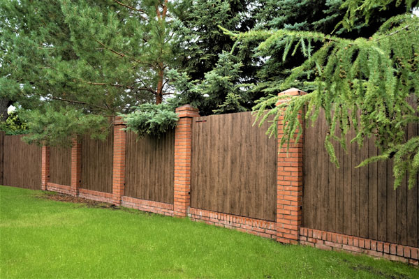 профлист для забора под дерево