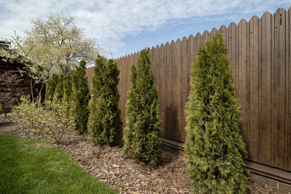 цвета профлиста для забора